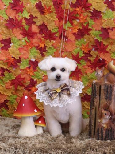 20241124うみちゃん　